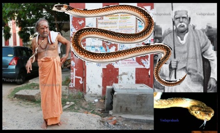 Brahmin-snake-periyar-analogy